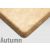 Autum