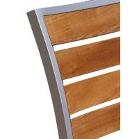 Silver Frame