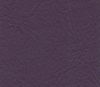 Wood Violet