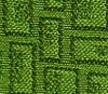 Fern