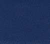 Regimental Blue