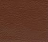 Chocolate Chip