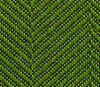 Fern A