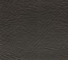 Black Walnut