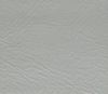 Sliver Grey