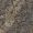 Anna Giallo California Granite Tabletop