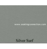 Silver Surf