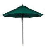 Black Pole, Forest Green Fabric