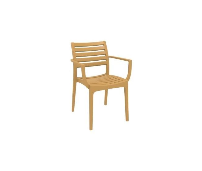 Artemis Resin Outdoor Dining Arm Chair