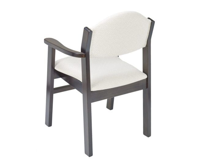 CN-FTR-2000 A - Arm Chair (Back)
