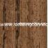 Teak